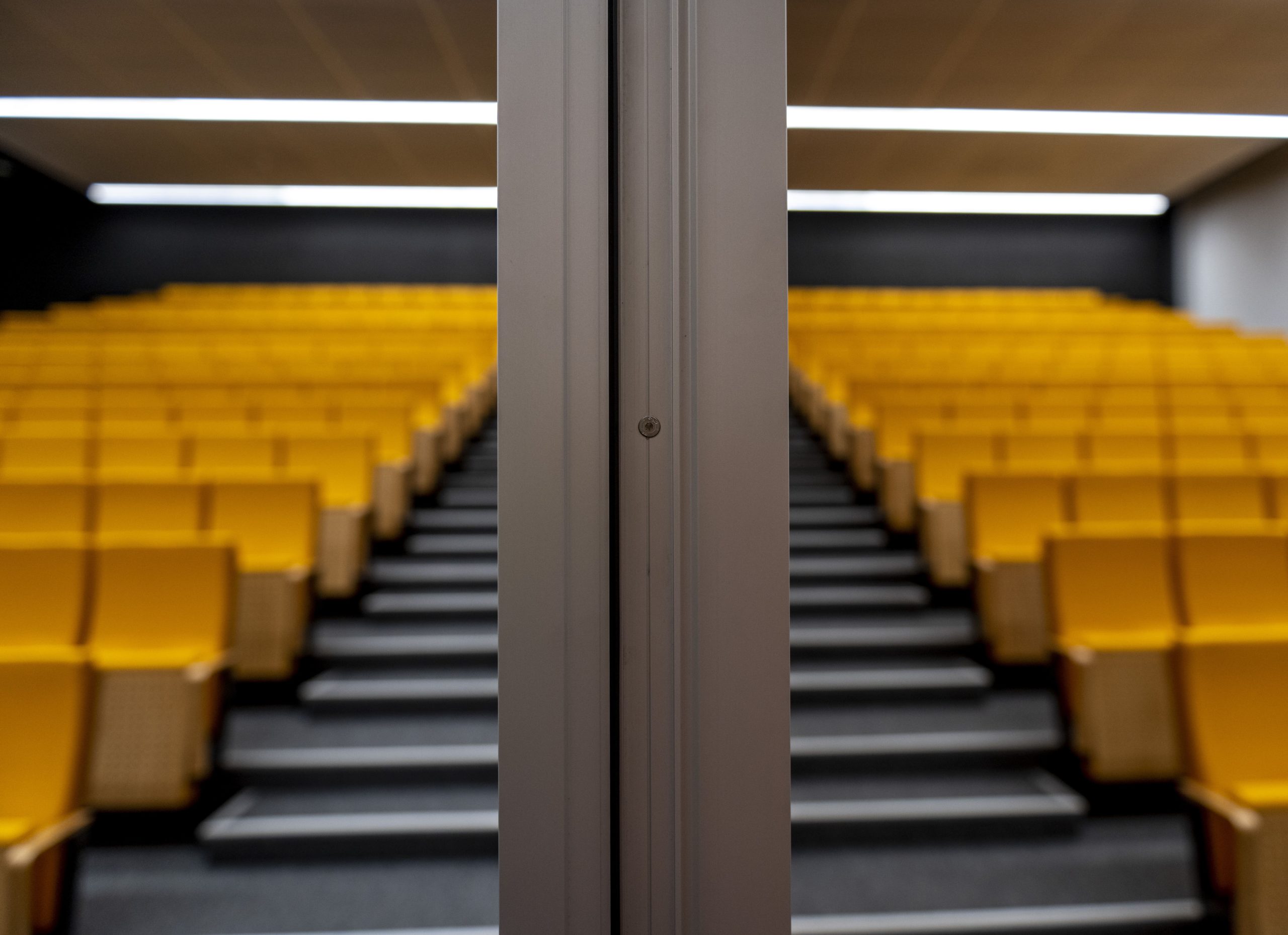 Université Maria Curie-Sklodowska, Faculté des sciences politiques