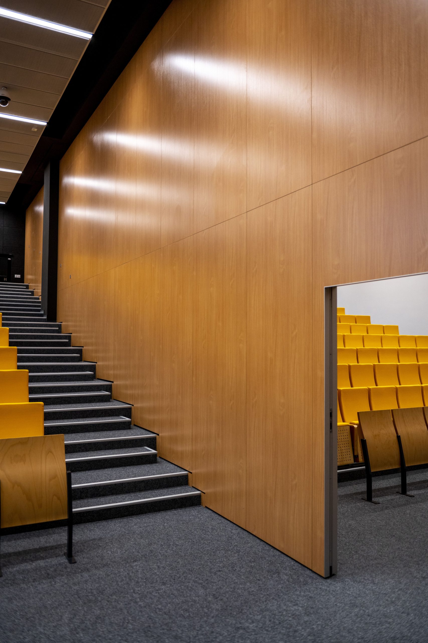 Université Maria Curie-Sklodowska, Faculté des sciences politiques